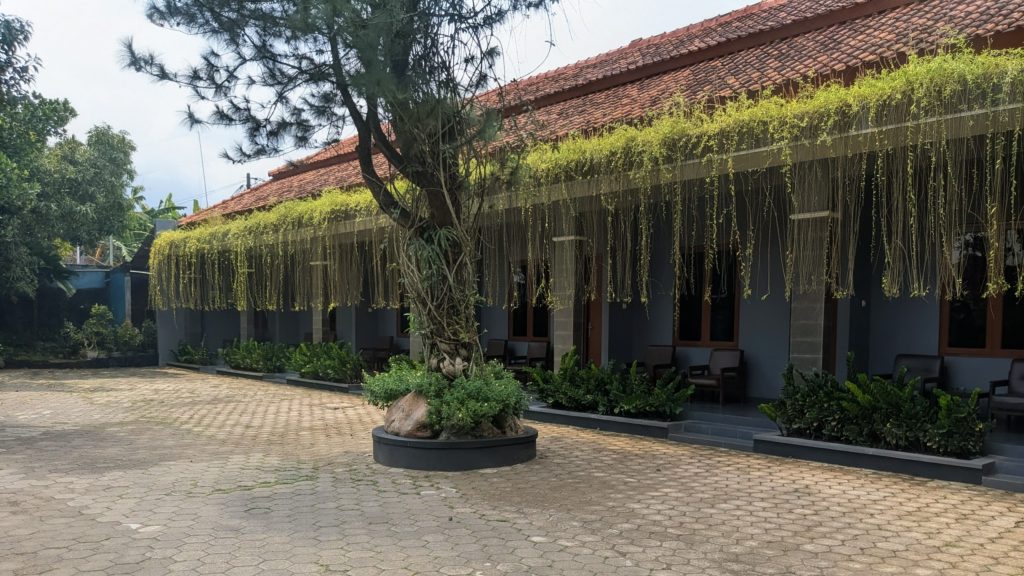 PXL_20251011_060343251.MP~2