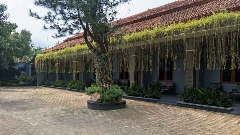 PXL_20251011_060343251.MP~2