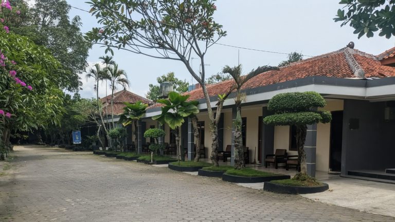 PXL_20251011_060404431.MP~2